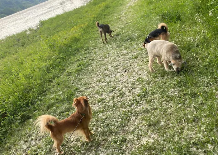 Casa de Férias Grosszuegiges 170 Qm, 10 Gaeste, 30 Qm Sonnenterrasse, Eingezaeunter Hof, Klima, Kamin, Hundefreundlich